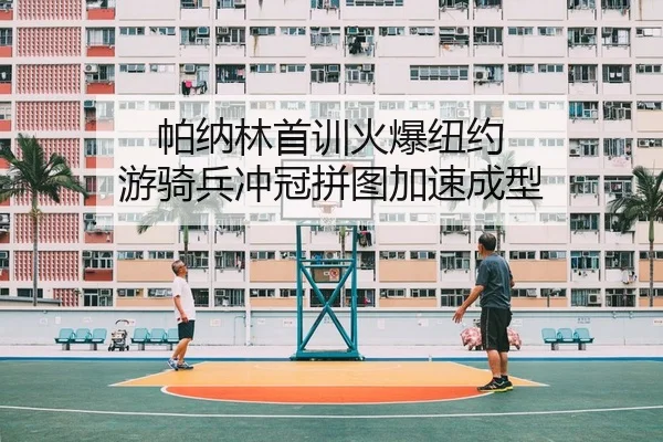 pa-na-lin-shou-xun-huo-bao-niu-yue-you-qi-bing-chong-guan-pin-tu-jia-su-cheng-xing-2-112.jpg